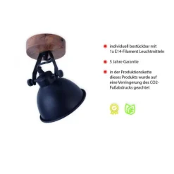 Deckenleuchte, schwarz, Retro Look, energiesparend, Industrial Design