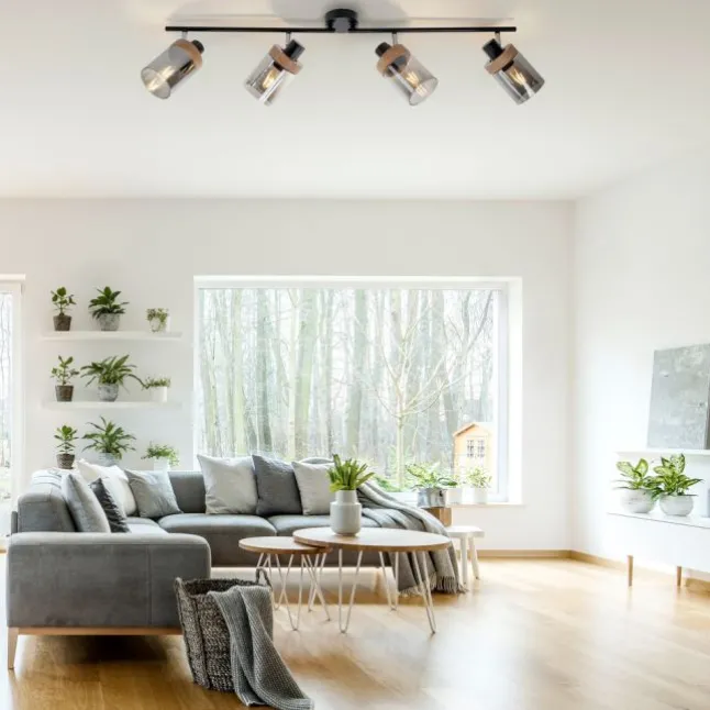 Deckenleuchte, Strahler, Rauchglas, Holz, Robberwood, E27, 4-flammig