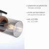 Deckenleuchte, Strahler, Rauchglas, Holz, Robberwood, E27, 2-flammig