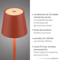 JUST LIGHT AKKU Tischleuchten-Set BURIA, 2er, orange