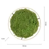 JUST LIGHT LED Deckenleuchte GERDA RITUS 60x60 Island Moos Switchmo dimmbar