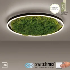 JUST LIGHT LED Deckenleuchte GERDA RITUS 60x60 Island Moos Switchmo dimmbar
