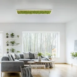 JUST LIGHT LED Deckenleuchte GERDA KNUT rechteckig Islandmoos Simplydim