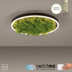 JUST LIGHT LED Deckenleuchte GERDA RITUS 40x40 Island Moos Switchmo 3 Stufen Dimmung
