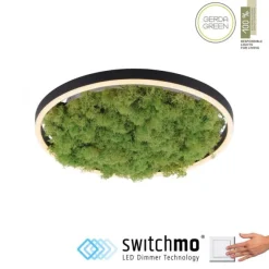 JUST LIGHT LED Deckenleuchte GERDA RITUS 40x40 Island Moos Switchmo 3 Stufen Dimmung