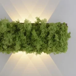 JUST LIGHT LED Wandleuchte GERDA CARLO Islandmoos Lichtspiel warmweiß Licht