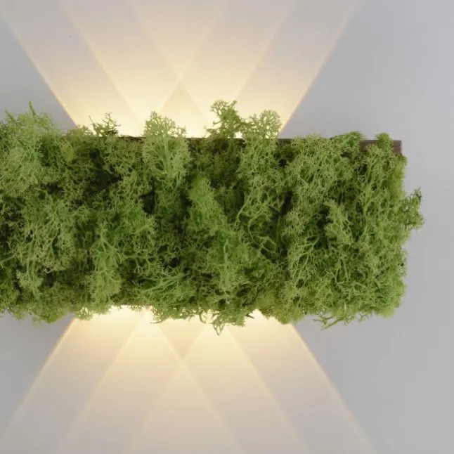 JUST LIGHT LED Wandleuchte GERDA CARLO Islandmoos Lichtspiel warmweiß Licht