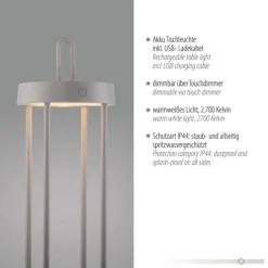 LED Akkulampe Tischleuchte greige 50cm Touchdimmer IP44 Gartenleuchte