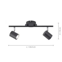 LED Deckenleuchte, anthrazit, 2 Flammig, schwenkbare Leuchtspots
