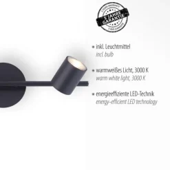LED Deckenleuchte, anthrazit, 2 Flammig, schwenkbare Leuchtspots