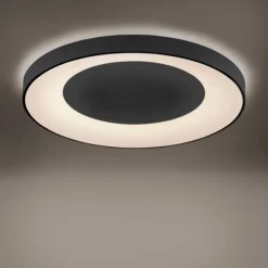 LED-Deckenleuchte, anthrazit-grau, dimmbar, CCT-Farbmanagement, Memory Funktion