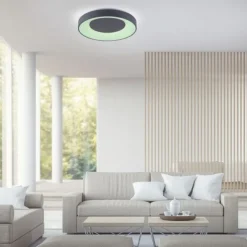 LED-Deckenleuchte, anthrazit, dimmbar, App, Fernbedienung