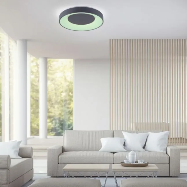 LED-Deckenleuchte, anthrazit, dimmbar, App, Fernbedienung