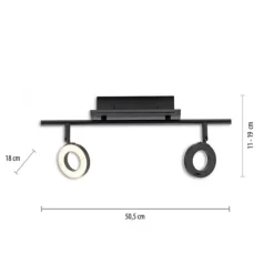LED Deckenleuchte 2 flammig anthrazitfarbig drehbar IP44 warmweiß