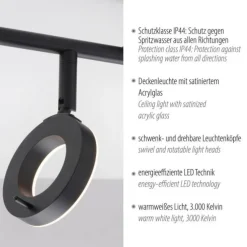 LED Deckenleuchte 2 flammig anthrazitfarbig drehbar IP44 warmweiß