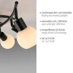 LED Deckenleuchte 6 flammig schwarz Spot drehbar Opalglas zeitlos