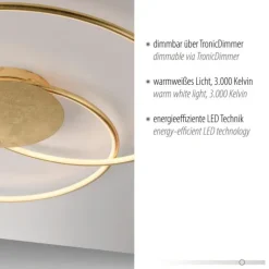 LED Deckenleuchte gold dimmbar Tronicdimmer warmweiß Innenleuchte