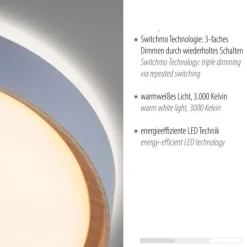 LED Deckenleuchte Holzoptik grau rund dimmbar Wandschalter energiesparend