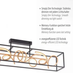 LED Deckenleuchte, modern, geschwungenes Design, dimmbar, energiesparend