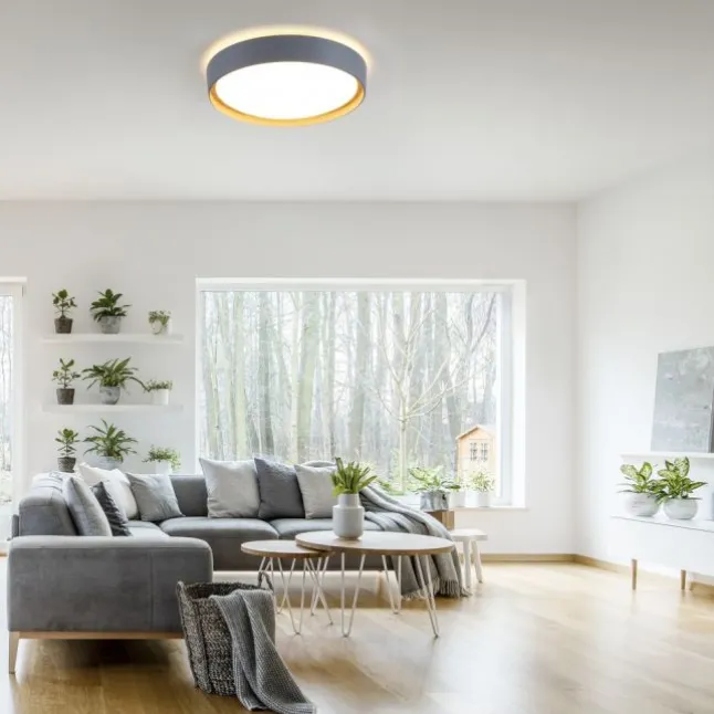 LED-Deckenleuchte, rund, Ø 40 cm, dimmbar, grau, Holdekor