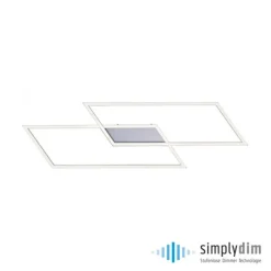 LED Deckenleuchte, stahlfarben, Memory Funktion, inkl Dimmfunktion, modern