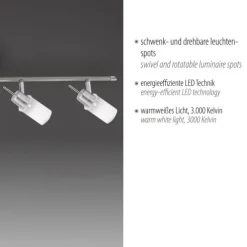 LED-Deckenleuchte, stahl, 4 verstellbare Leuchtköpfe, warmweiß, blendfrei