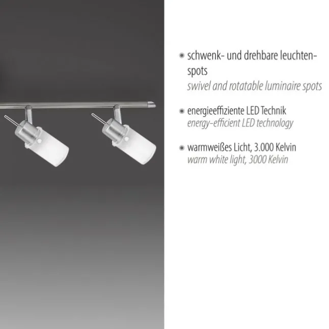 LED-Deckenleuchte, stahl, 4 verstellbare Leuchtköpfe, warmweiß, blendfrei