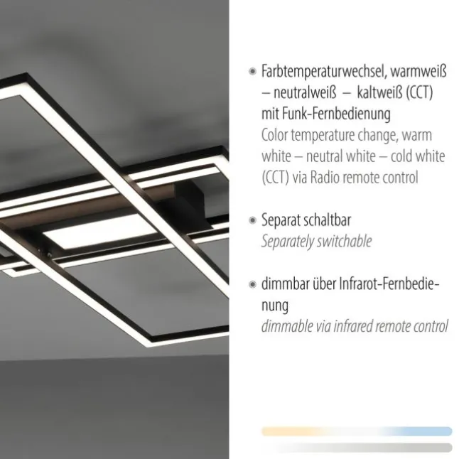 LED Deckenleuchte, Wohnzimmer, schwarz, dimmbar, Fernbedienung