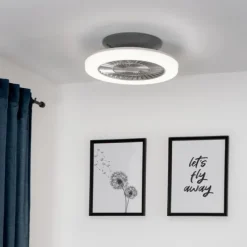 LED Deckenventilator mit Licht, rund, stahlfarbig, modern, Ø 50cm