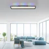 LED Panel, Deckenleuchte, flach,dimmbar, schwarz, mit RGB Laufbandumrandung