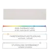 LED Panel, digitaler Farbwechsel, CCT Steuerung, 100 x 25 cm