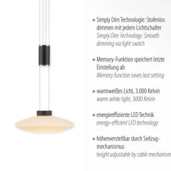 LED Pendellampe 1 flammig rund schwarz dimmbar höhenverstellbar