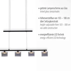 LED Pendellampe schwarz 5 flammig höhenverstellbar Esstischlampe