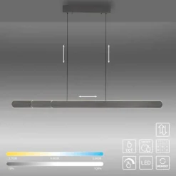 LED Pendelleuchte ADRIANA schwarz höhenverstellbar dimmbar CCT