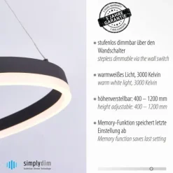LED Pendelleuchte, anthrazit, runde Form, dimmbar, Memory Funktion, modern