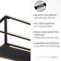 LED Pendelleuchte Conni, schwarz, 4-flammig, dimmer, Innenleuchte