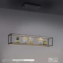 LED Pendelleuchte Conni, schwarz, 4-flammig, dimmer, Innenleuchte