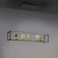LED Pendelleuchte Conni, schwarz, 4-flammig, dimmer, Innenleuchte