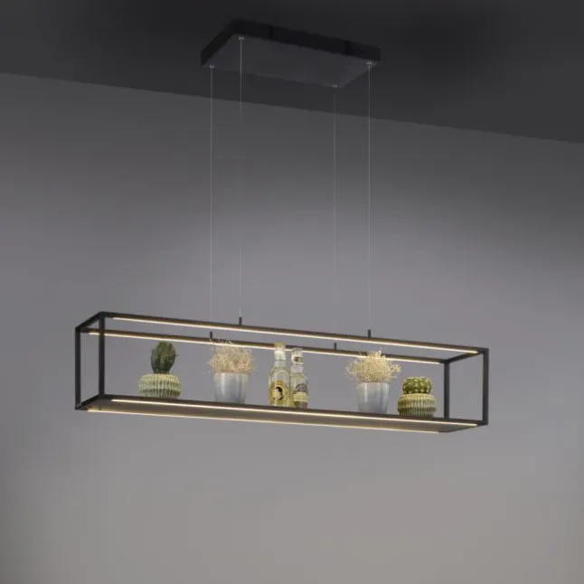 LED Pendelleuchte Conni, schwarz, 4-flammig, dimmer, Innenleuchte