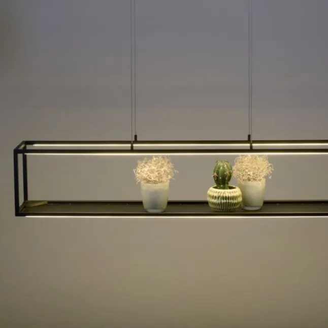 LED Pendelleuchte Conni, schwarz, 4-flammig, dimmer, Innenleuchte