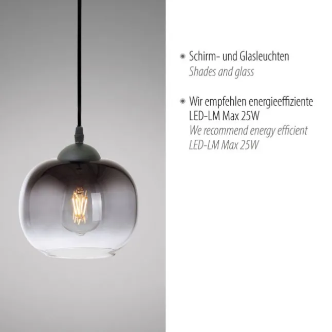 LED Pendelleuchte 1 flammig schwarz Rauchglas modern Wohnlampe