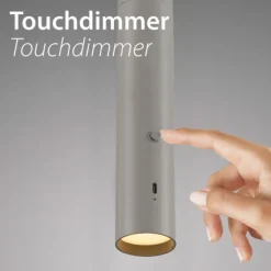 LED Pendelleuchte greige höhenverstellbar magnetischer Kopf Akku