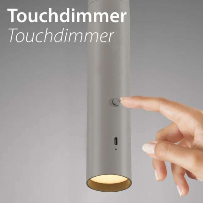 LED Pendelleuchte greige höhenverstellbar magnetischer Kopf Akku