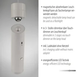 LED Pendelleuchte greige höhenverstellbar magnetischer Kopf Akku