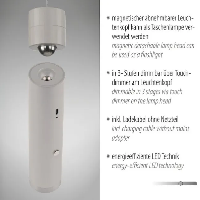 LED Pendelleuchte greige höhenverstellbar magnetischer Kopf Akku