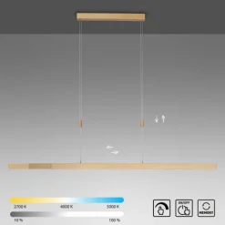 LED Pendelleuchte, messing matt, lineares, filigranes Design, Touchdimmer