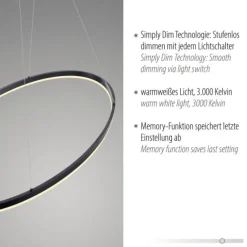 LED Pendelleuchte oval 56x56 anthrazit dimmbar Memoryfunktion