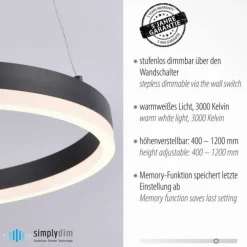 LED Pendelleuchte, rund, anthrazitfarben, Dimmfunktion, Memory Funktion