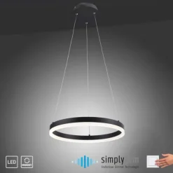 LED Pendelleuchte, rund, anthrazitfarben, Dimmfunktion, Memory Funktion