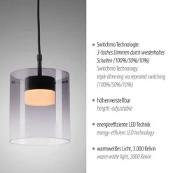 LED Pendelleuchte schwarz 1-flammig dimmbar in 3 Stufen Esszimmer
